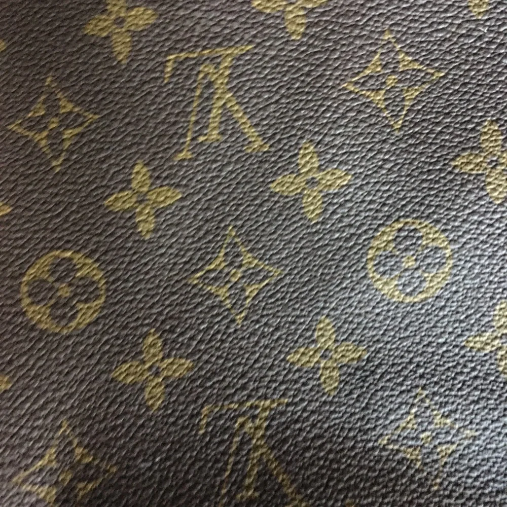 1980’s LV logo garment bag